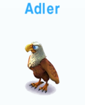Adler             